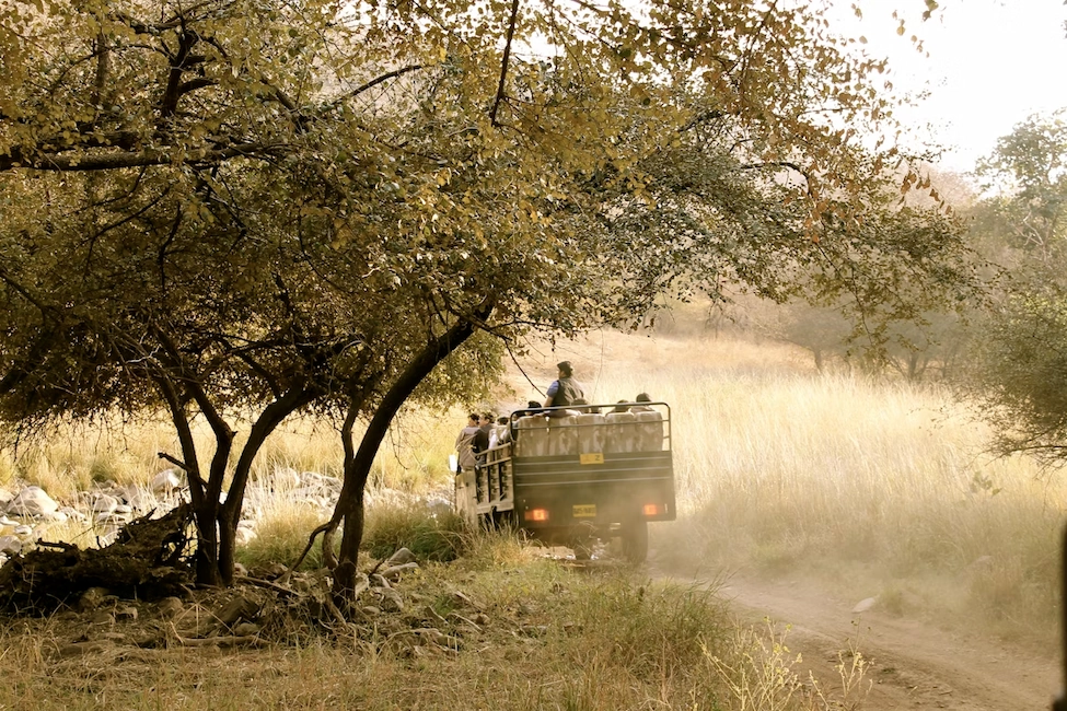 15 Best Things to do in Rajasthan for a Royal Experience