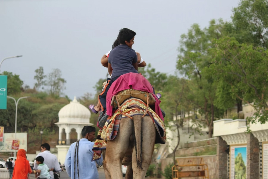 Rajasthan Family Packages